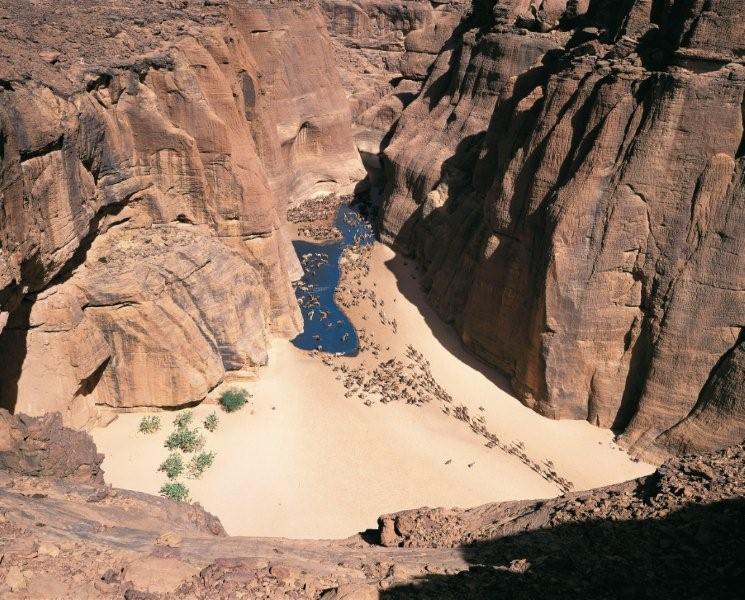 Camels heading to the watering hole in the Ennedi Plateau in Chad