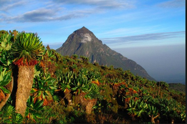 Mount Kahuzi, Congo