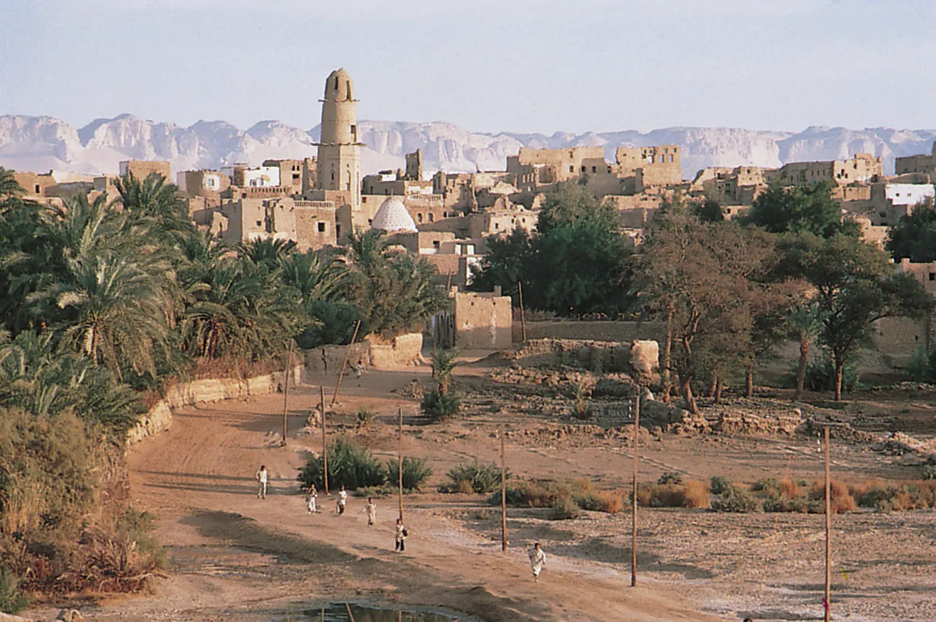 Al Qasr oasis in Egypt's Western Desert