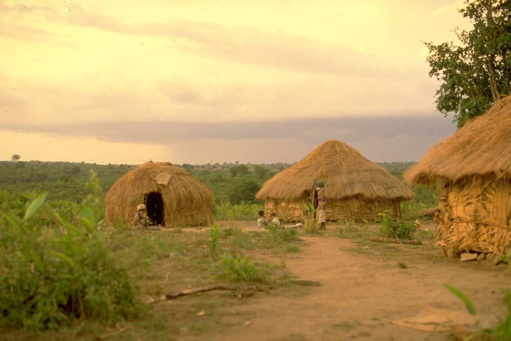 Straw huts on a grassy plain in Central African Republic
