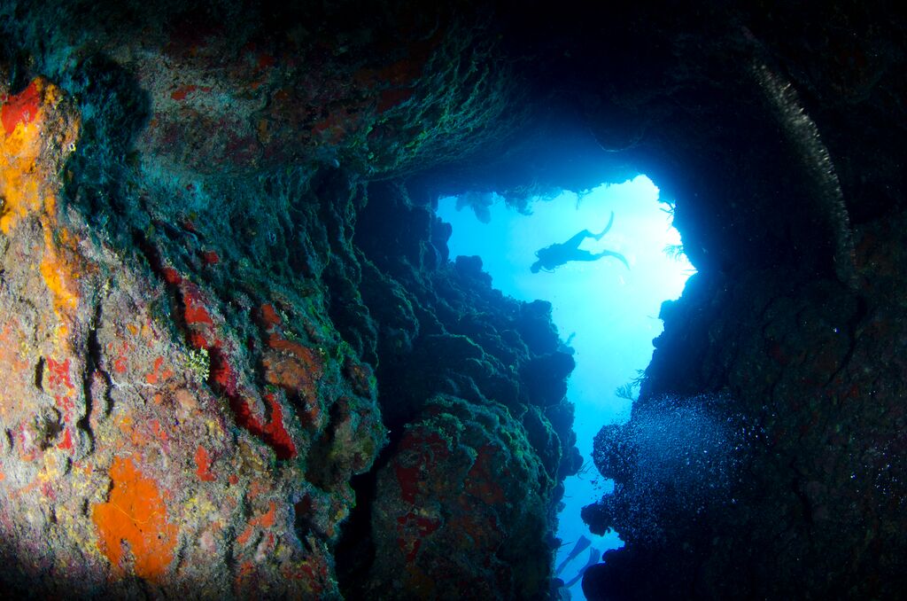 A diver underwater at Bloody Bay Wall
