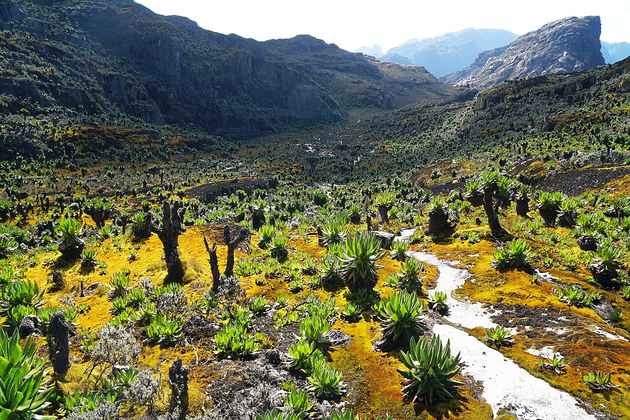 Rwenzori mountains in Uganda