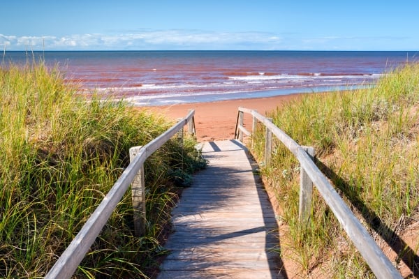 Prince Edward Island, a beach with green grass and red sand