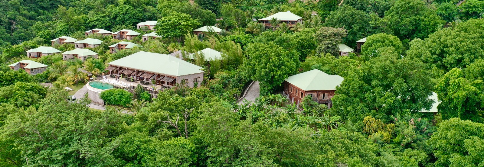guesthouses in the forests of jungle bay