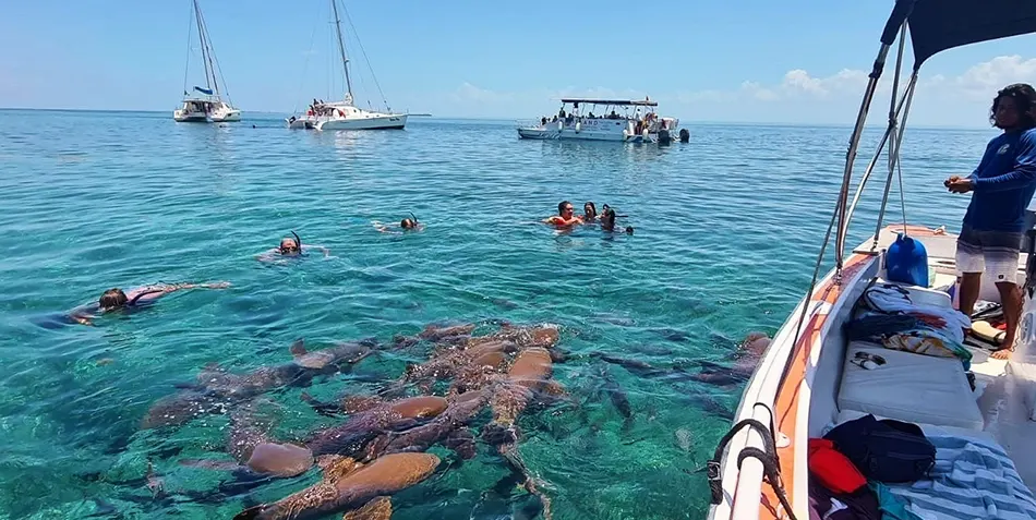 Tourists on a boat in Shark Ray Alley